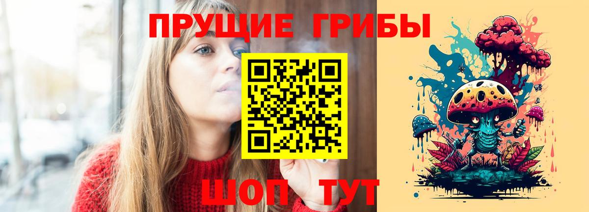 Псилоцибиновые грибы Psilocybe  Вход с VPN  Североуральск  Псилоцибиновые грибы мицелий 